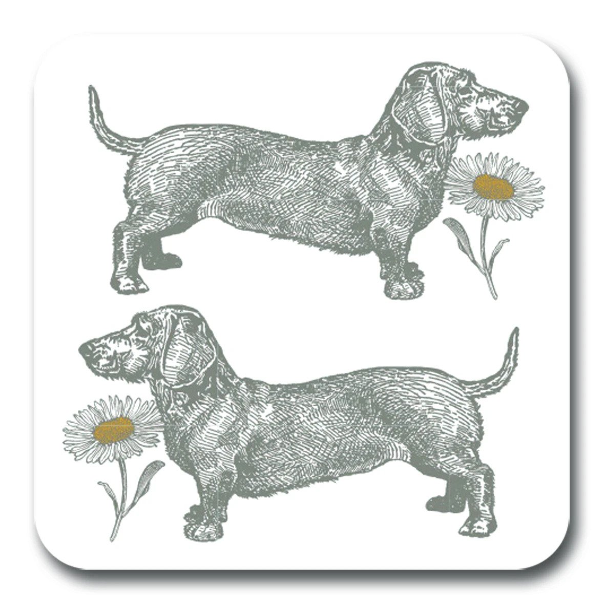 Thornback & Peel Pot Stand - Dog and Daisy